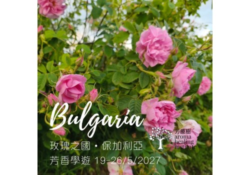 玫瑰國度 保加利亞 芳香學遊2027